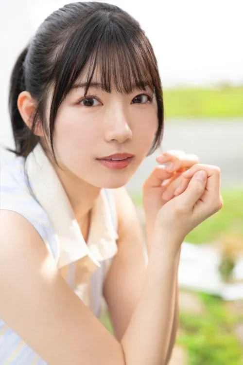 雾港迷踪犯罪电影免费在线观看